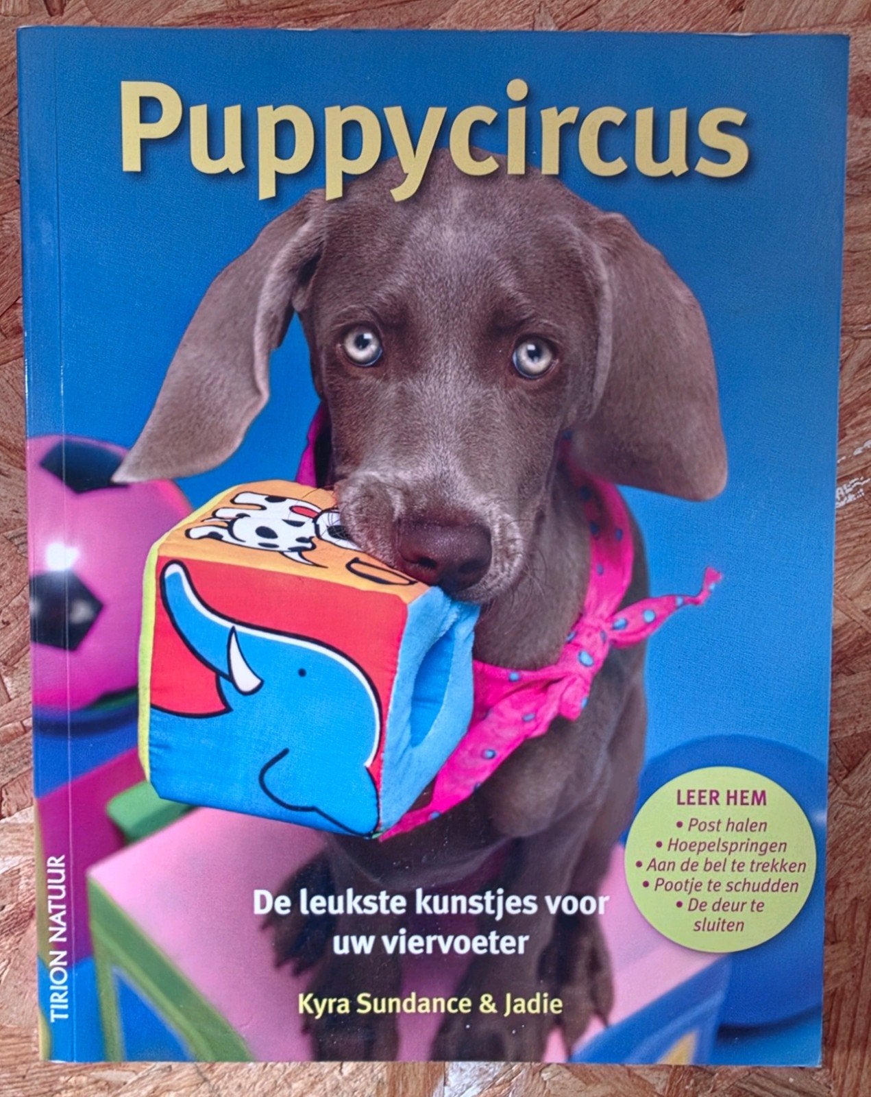 Puppycircus: De leukste kunstjes voor uw viervoeter, Livres, Animaux & Animaux domestiques, Enlèvement ou Envoi, Chiens