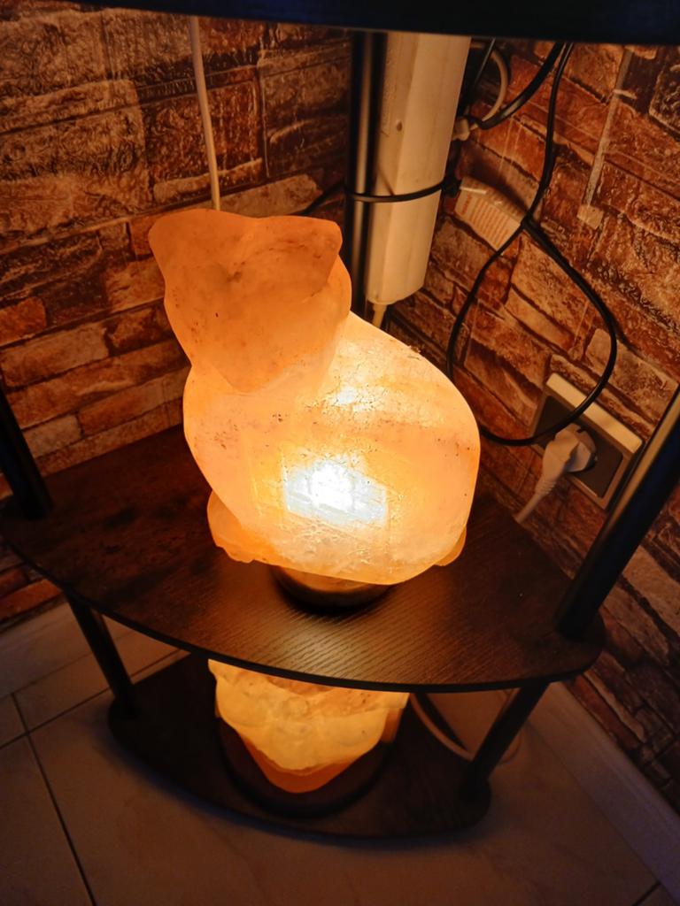 Zoutlamp uil, Huis en Inrichting, Lampen | Tafellampen, Ophalen