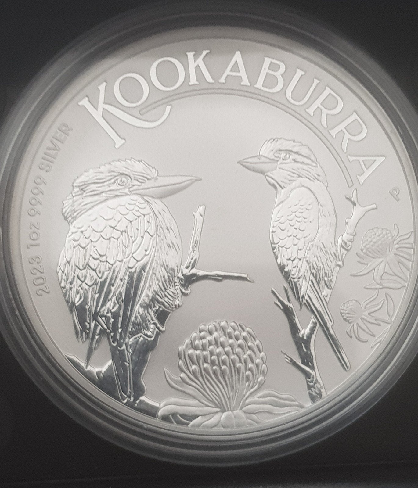 Kookaburra uit 2023, Postzegels en Munten, Ophalen of Verzenden, Zilver