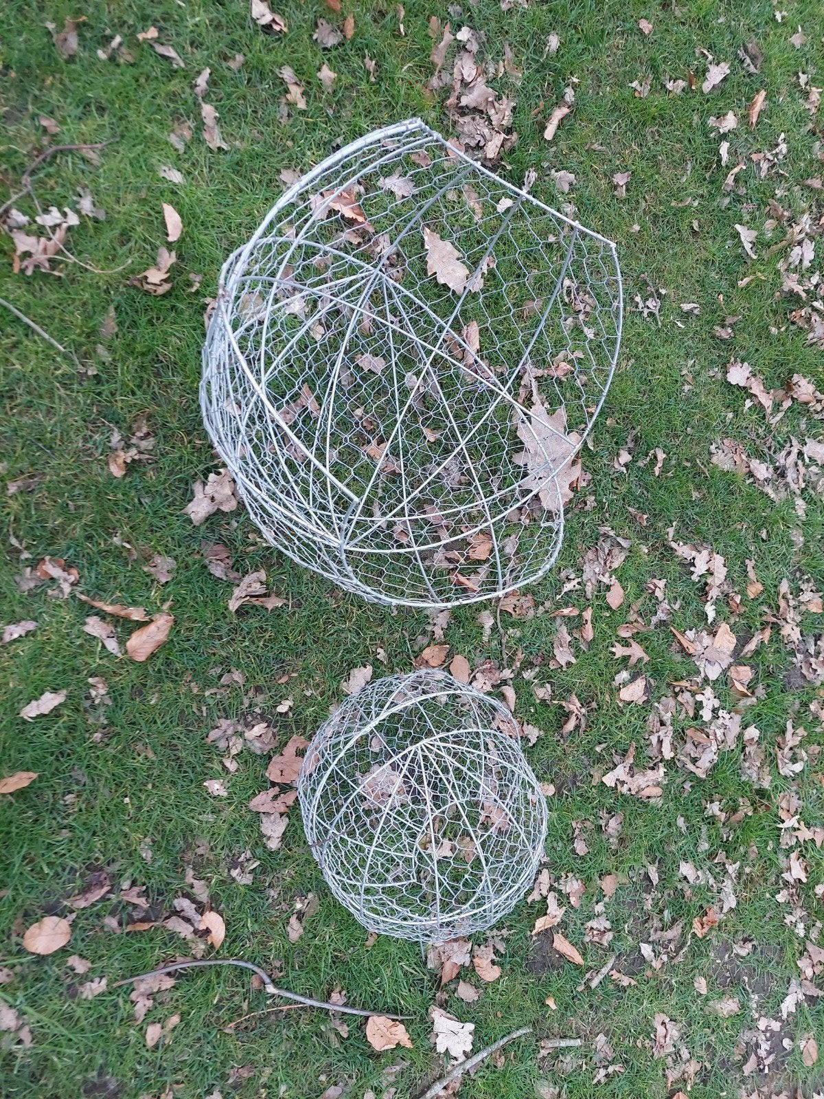 Buxussnoeiers, Tuin en Terras, Ophalen
