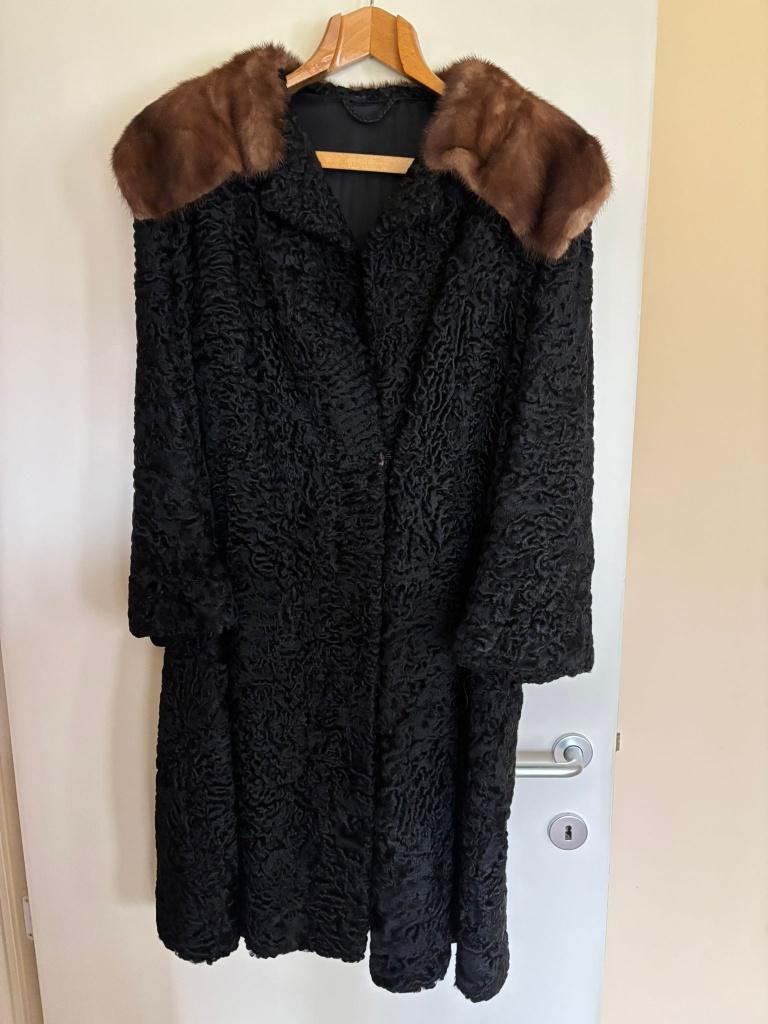 Jassen nerts, vos, astrakan, bever, zilvervos, Kleding | Dames, Jassen | Winter, Ophalen, Gedragen