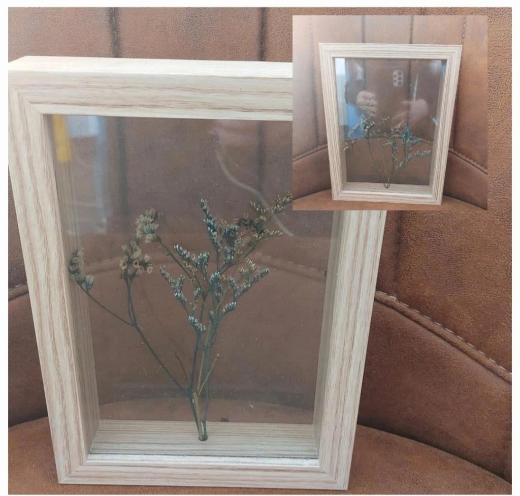 2 kaders droogbloemen, Ophalen of Verzenden, Gebruikt