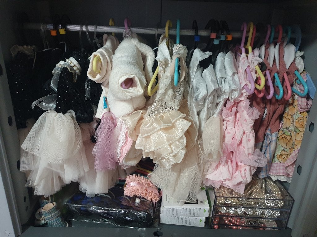 Lot de vêtements pour petits chiens, XS, Autres marques, Utilisé, Réglable