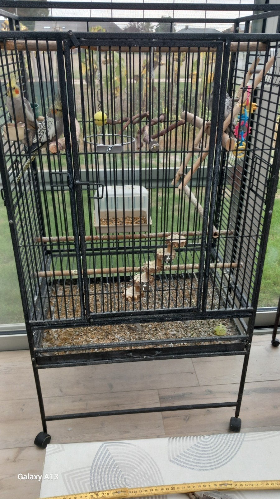 3 Valkparkieten handtam met kooi., Ophalen, Gebruikt, Metaal, Vogelkooi