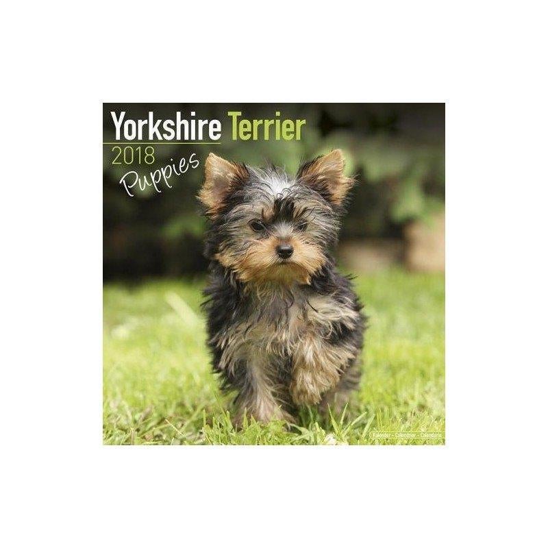 Yorkshire Terrier Puppykalender 2018, Ophalen of Verzenden, Jaarkalender, Nieuw