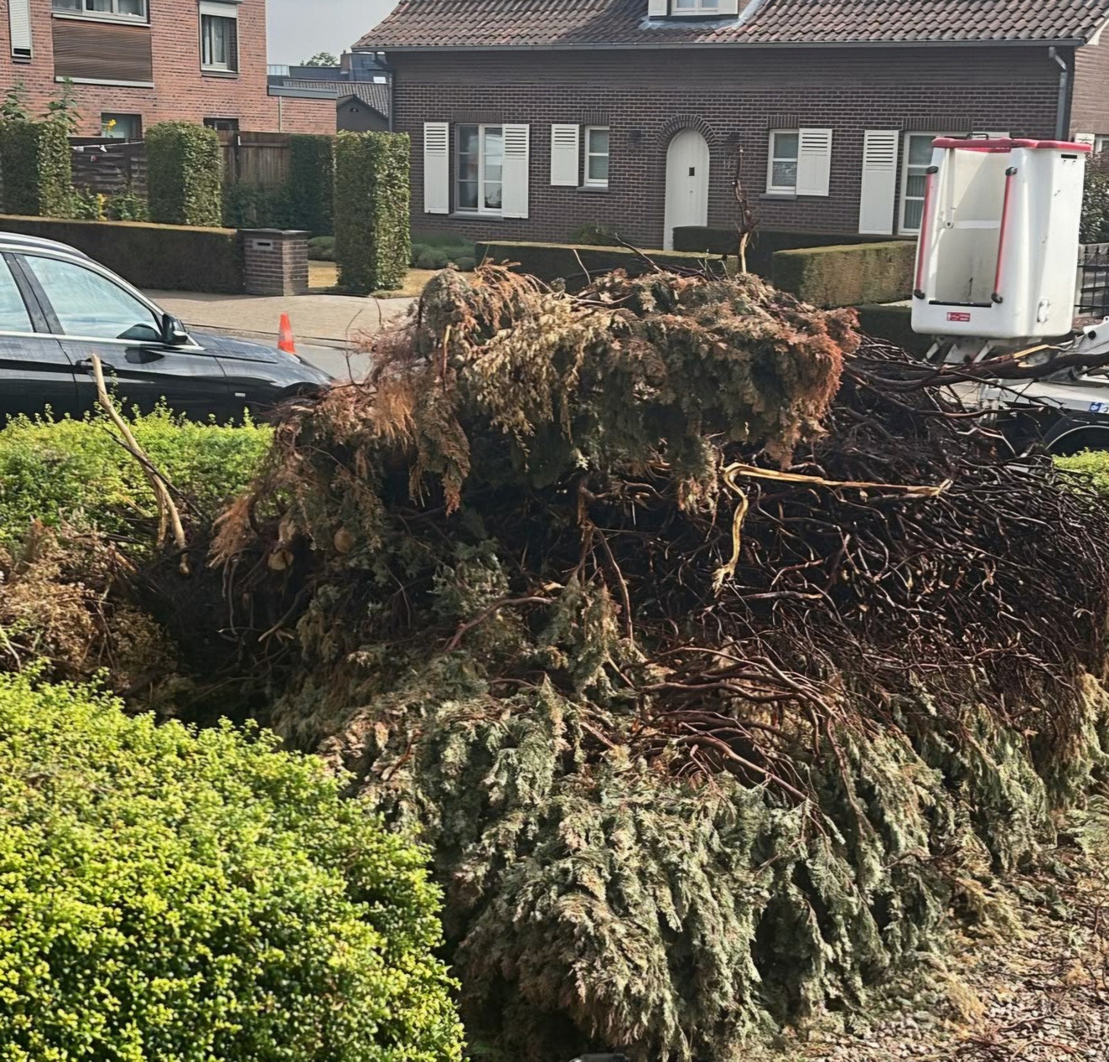loopt t uit de hand in de tuin? wij ruimen het netjes op, Ophalen