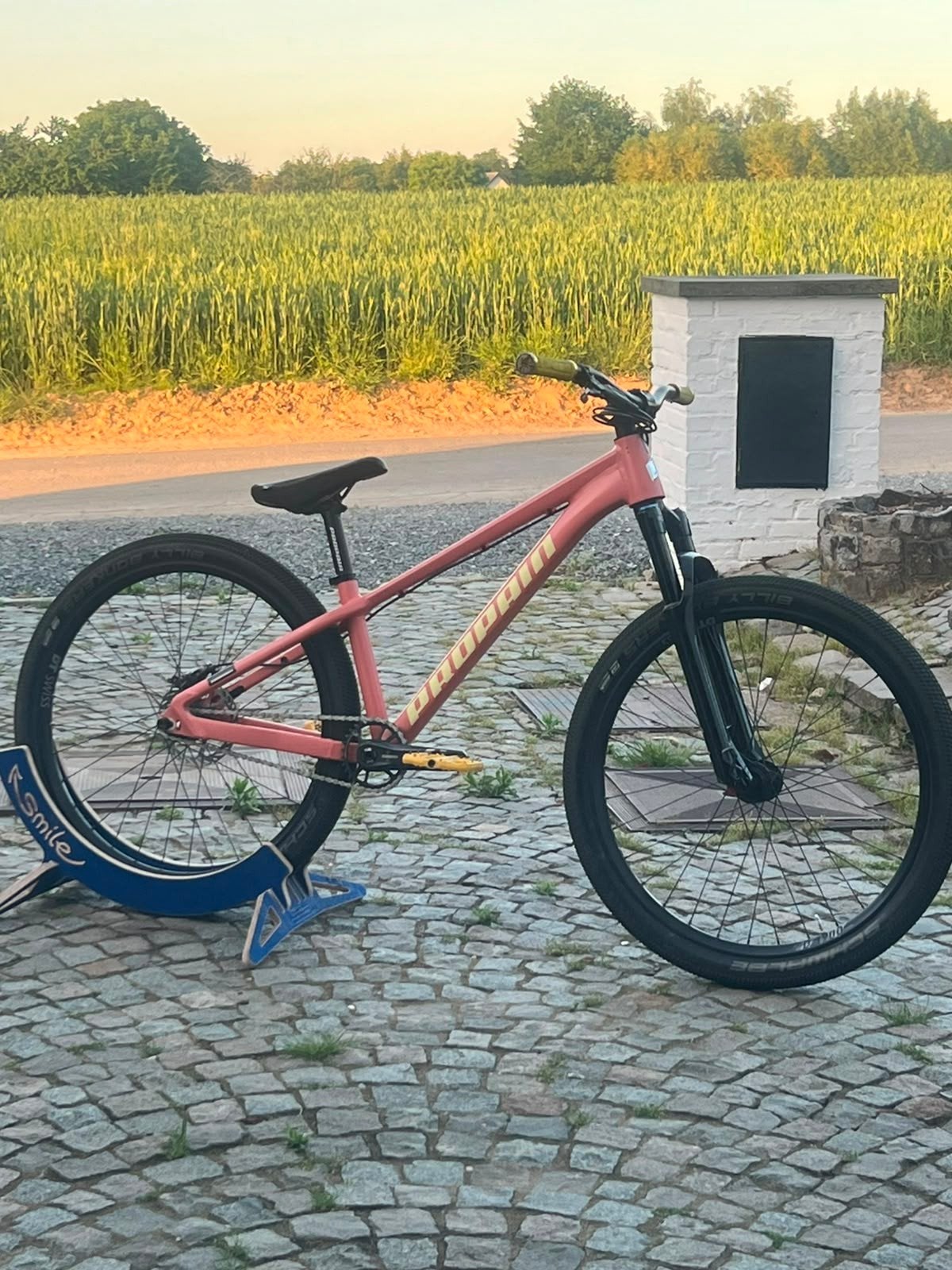 Verkoop Dirtjumper Propain Trickshot 2 Pro, Ophalen