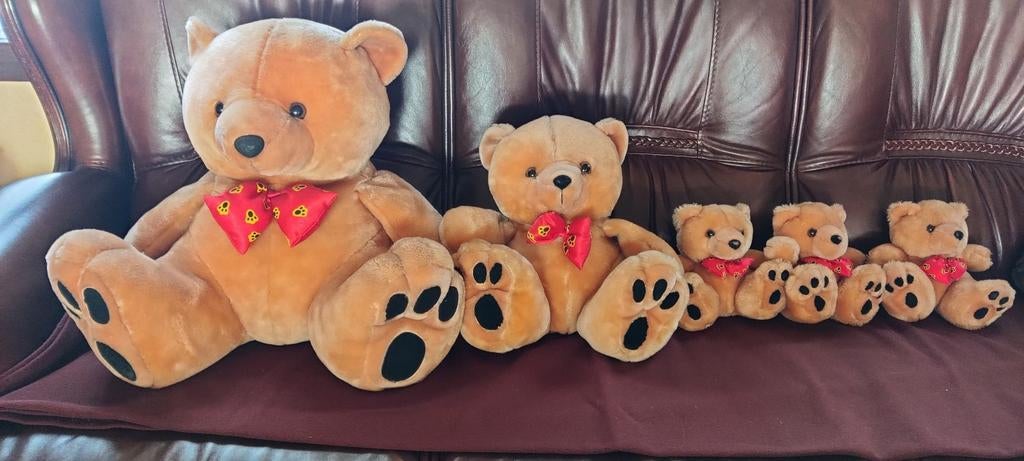 Beren familie H 45 en BR 53 , H 32 en BR 37en H3x18enBr 22cm, Verzamelen, Ophalen, Zo goed als nieuw