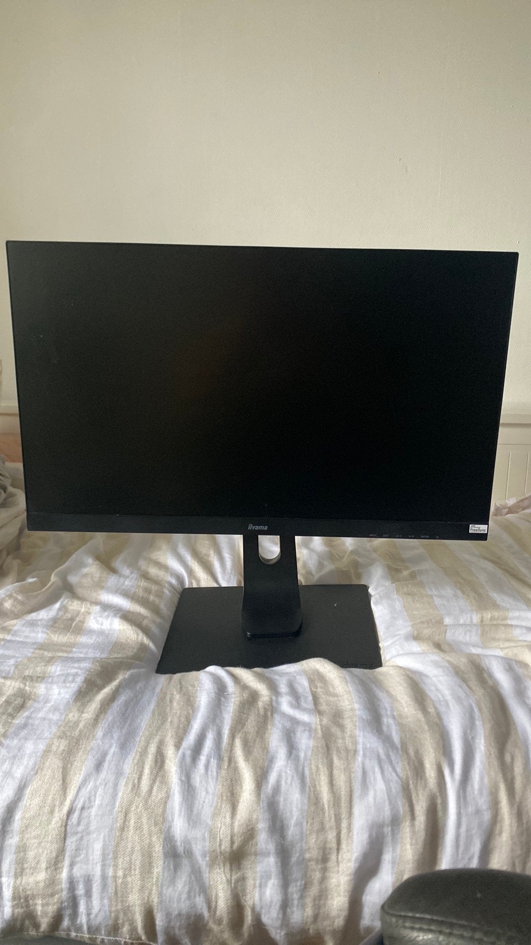 iiyama G-master, 24,21 inch, Ophalen, Gebruikt, Overige typen