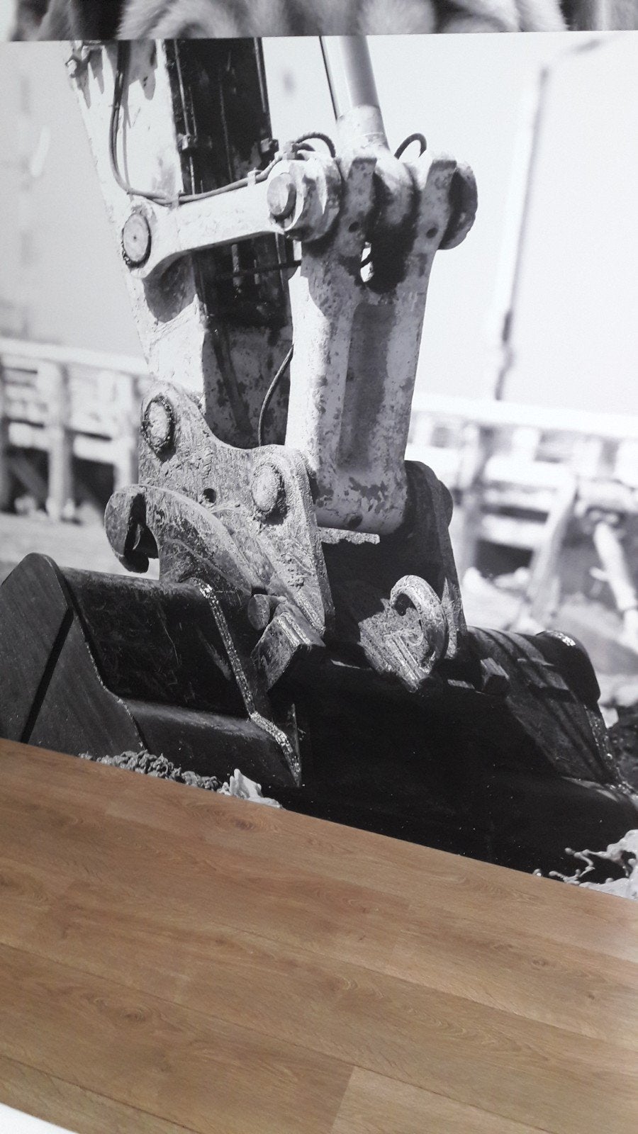 Mooie decoratieve foto in metaal zwart wit van kranen, Ophalen