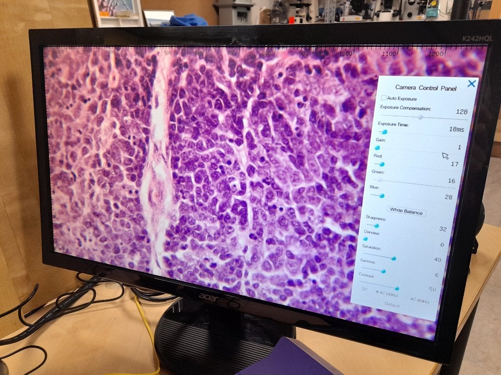 geheel compleet, Audio, Tv en Foto, Ophalen of Verzenden, Zo goed als nieuw, 1000x of meer, Biologische microscoop