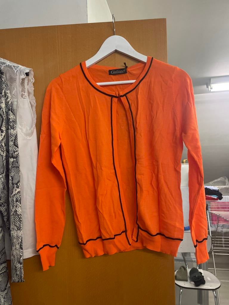 Kleding nieuw nooit gedragen, Kleding | Dames, Truien en Vesten, Ophalen, Zo goed als nieuw