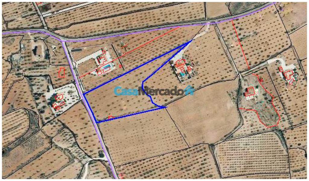 Pinoso Perceel A – CMEN43 - 53.000 euro, Immo, Buitenland, Kavel of Perceel, Pinoso, Alicante, Spanje, Landelijk