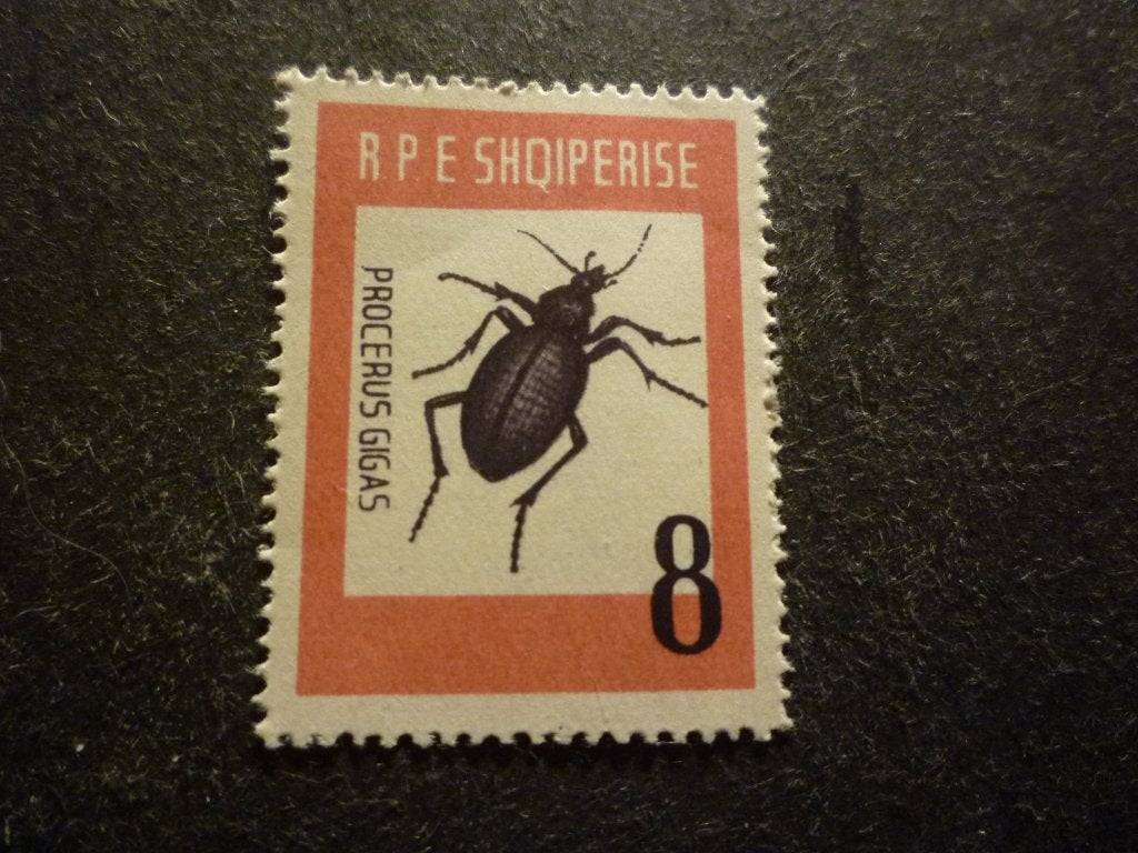 Albanië/Albanie 1963 Mi 737** Postfris/Neuf, Verzenden, Postfris
