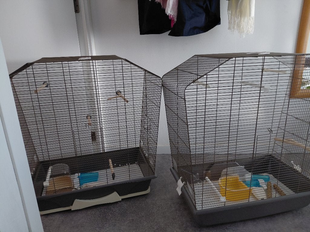 2 cages à oiseaux 'SAVIC CAMILLE 50' avec accessoires, Enlèvement, Utilisé, Métal, Cage à oiseaux