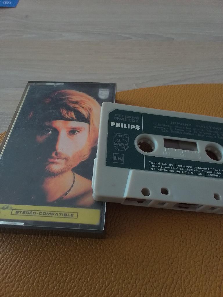 Johnny hallyday, Enlèvement