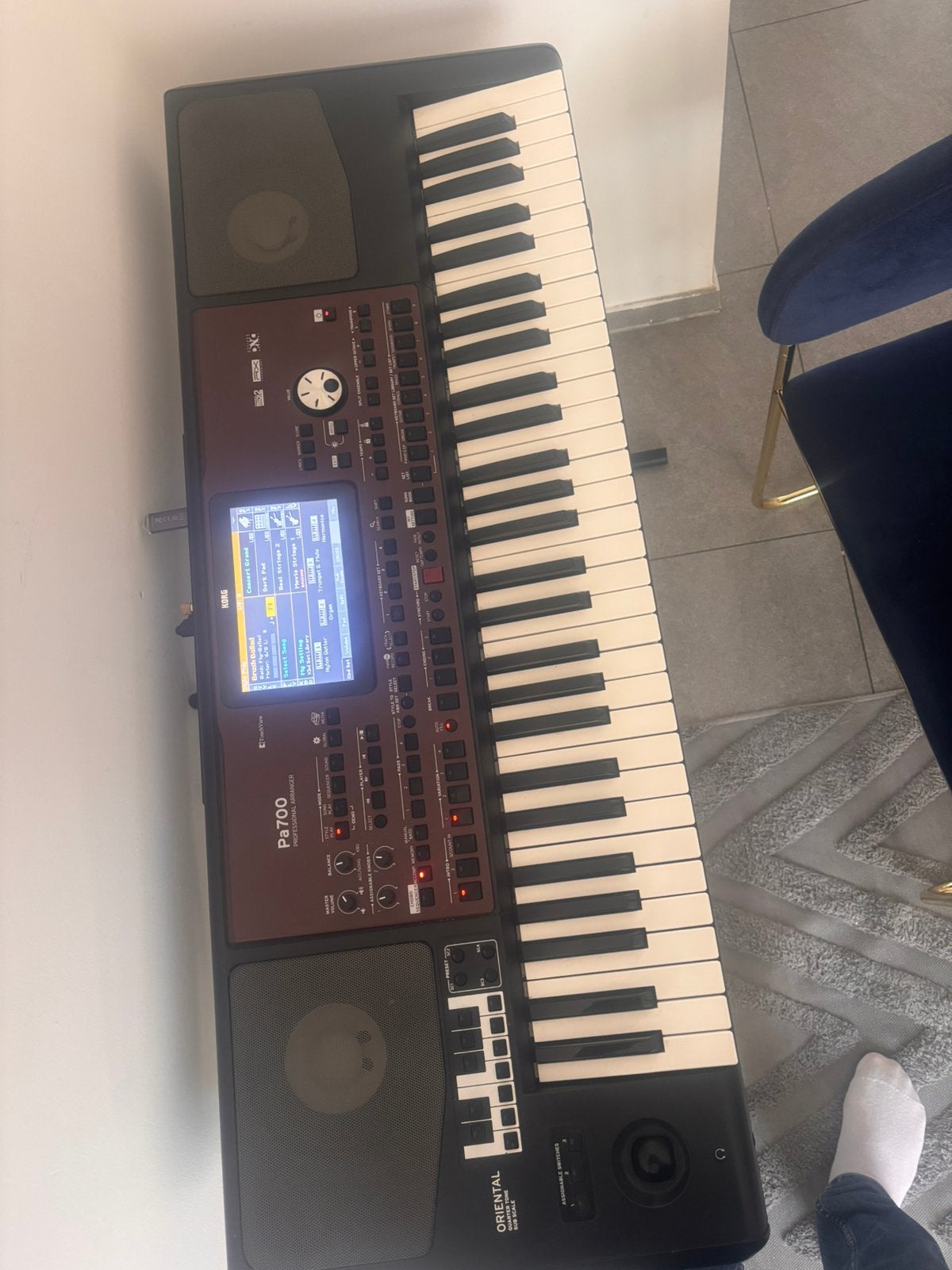 KORG PA700 Oriental, Muziek en Instrumenten, Ophalen, Korg, Aanslaggevoelig, 61 toetsen