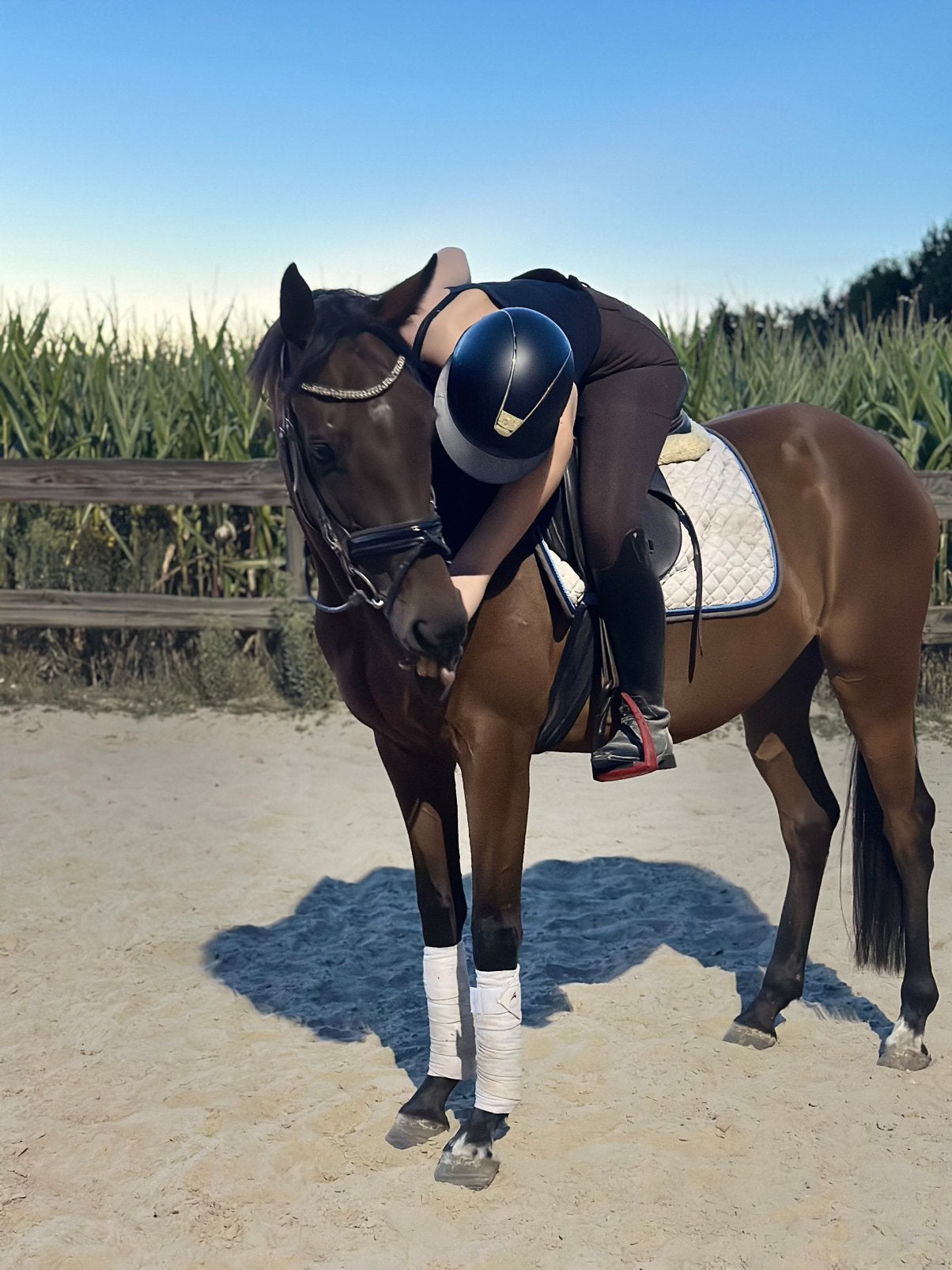 Brave 5 jarige merrie, Dieren en Toebehoren, B, 3 tot 6 jaar, Recreatiepony, Merrie
