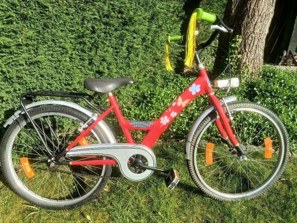 Kinderfiets, Fietsen en Brommers, Ophalen, Gebruikt, 20 inch of meer