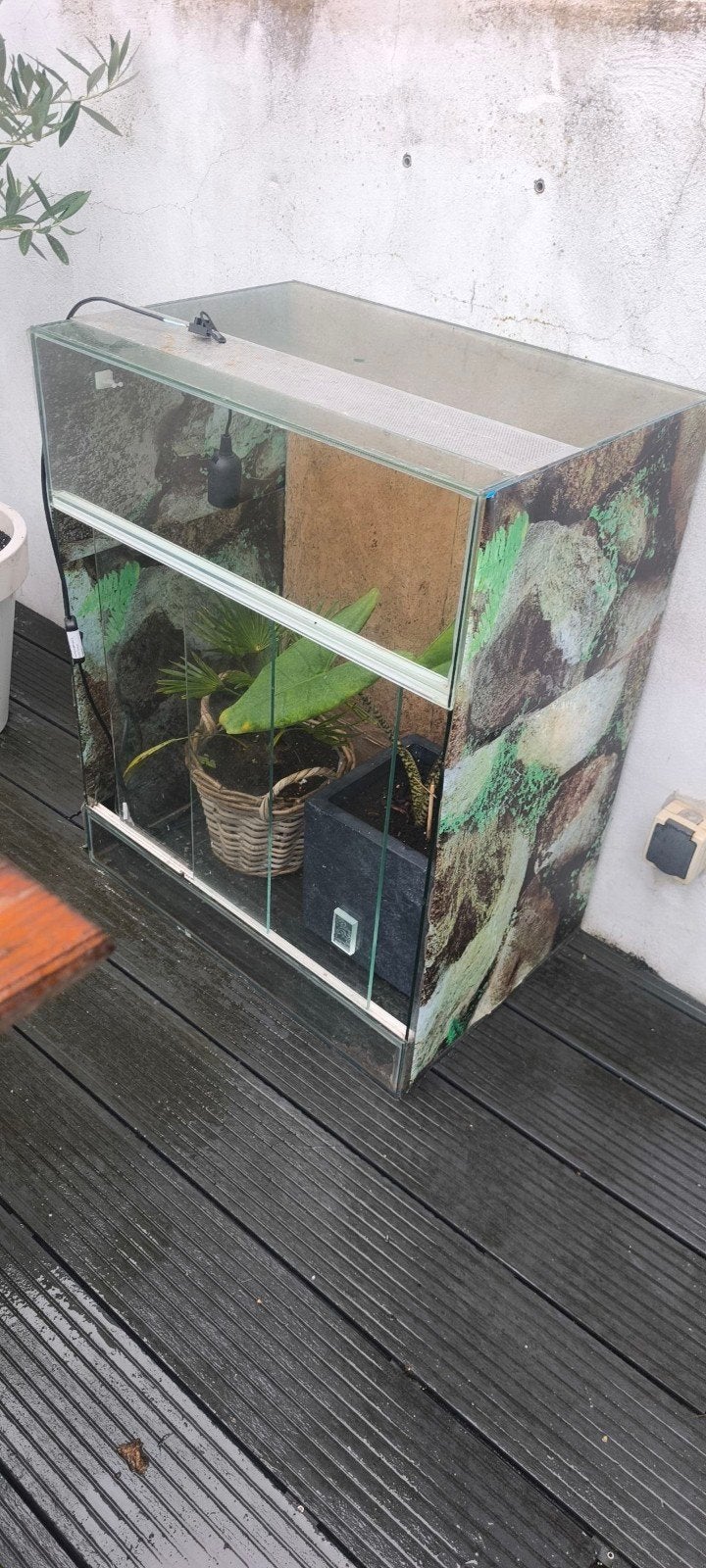 Terrarium 60-40-75, Dieren en Toebehoren, Ophalen