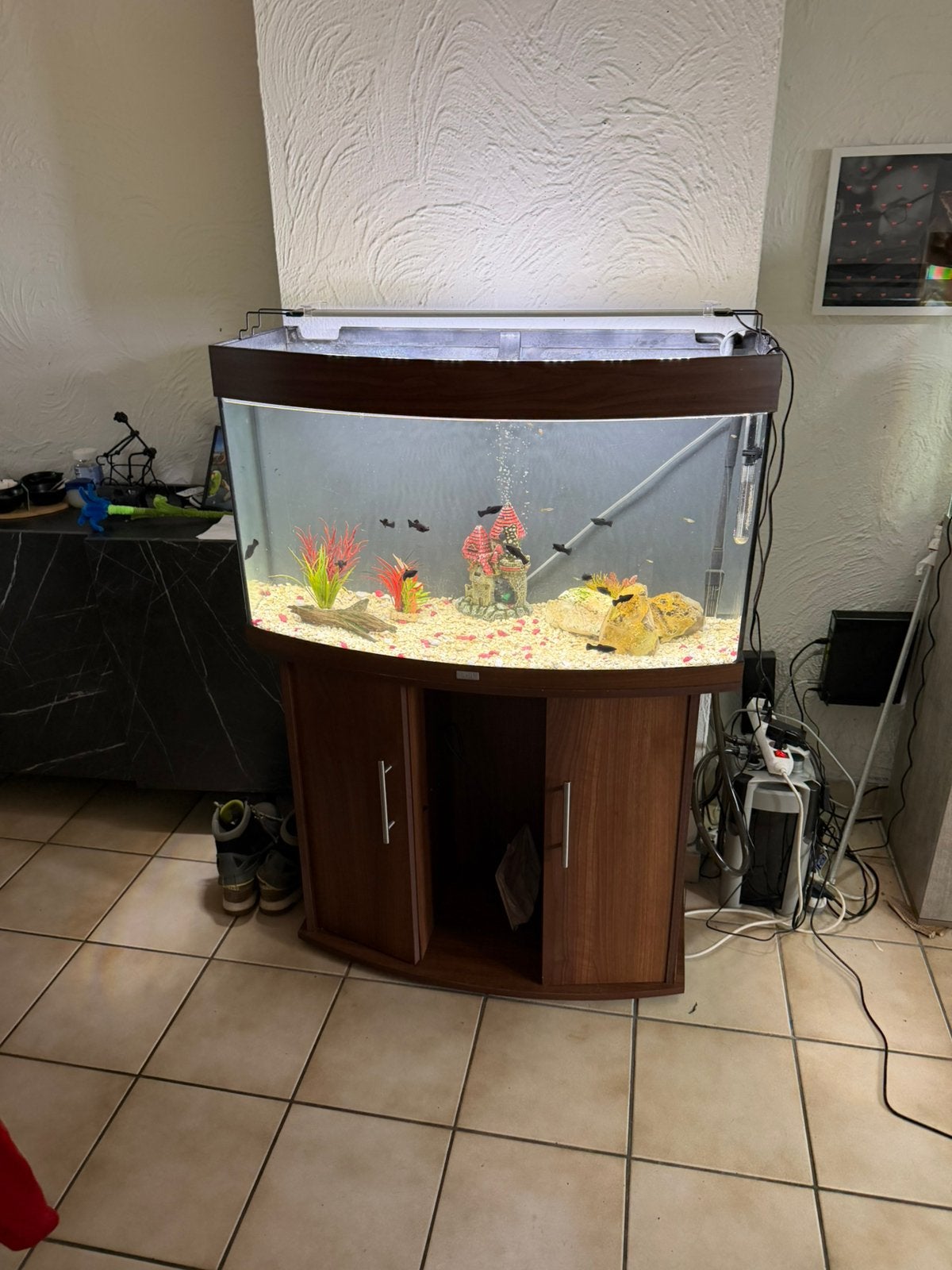 Aquarium te koop, Ophalen of Verzenden, Zo goed als nieuw