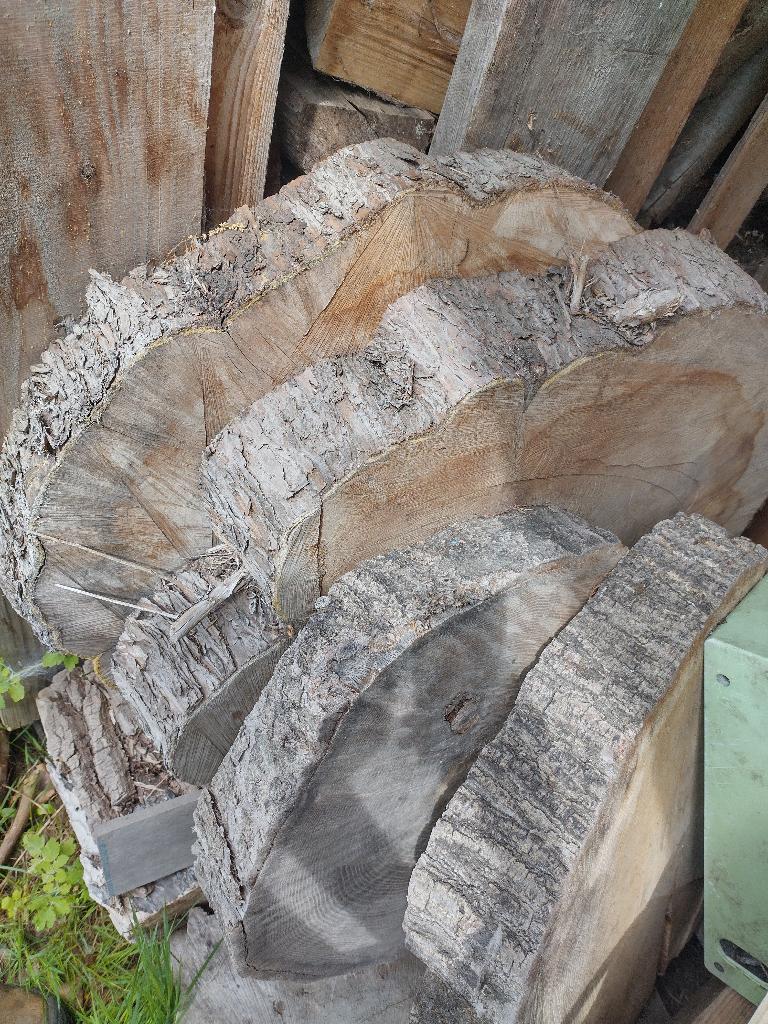 Planches pour arbres, disques pour arbres, disques en bois, Enlèvement, Utilisé