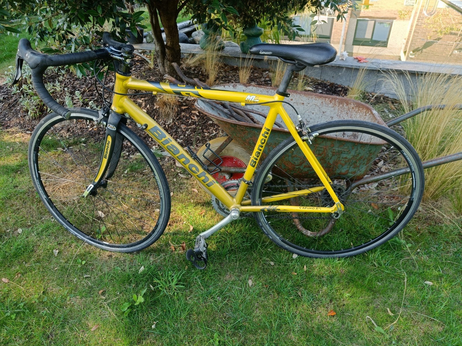 Bianchi koersfiets., Ophalen