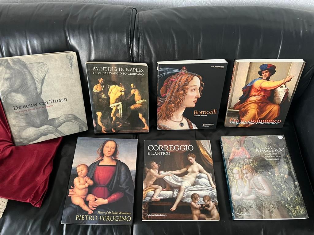 Kunstboeken lot italie barok renaissance, Cd's en Dvd's, Dvd's | Overige Dvd's, Ophalen of Verzenden, Zo goed als nieuw