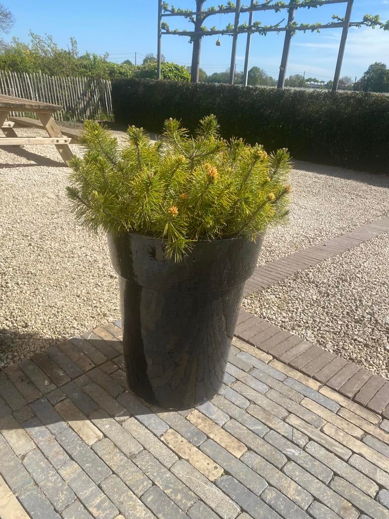 Stenen bloempot., Tuin en Terras, Ophalen, Zo goed als nieuw