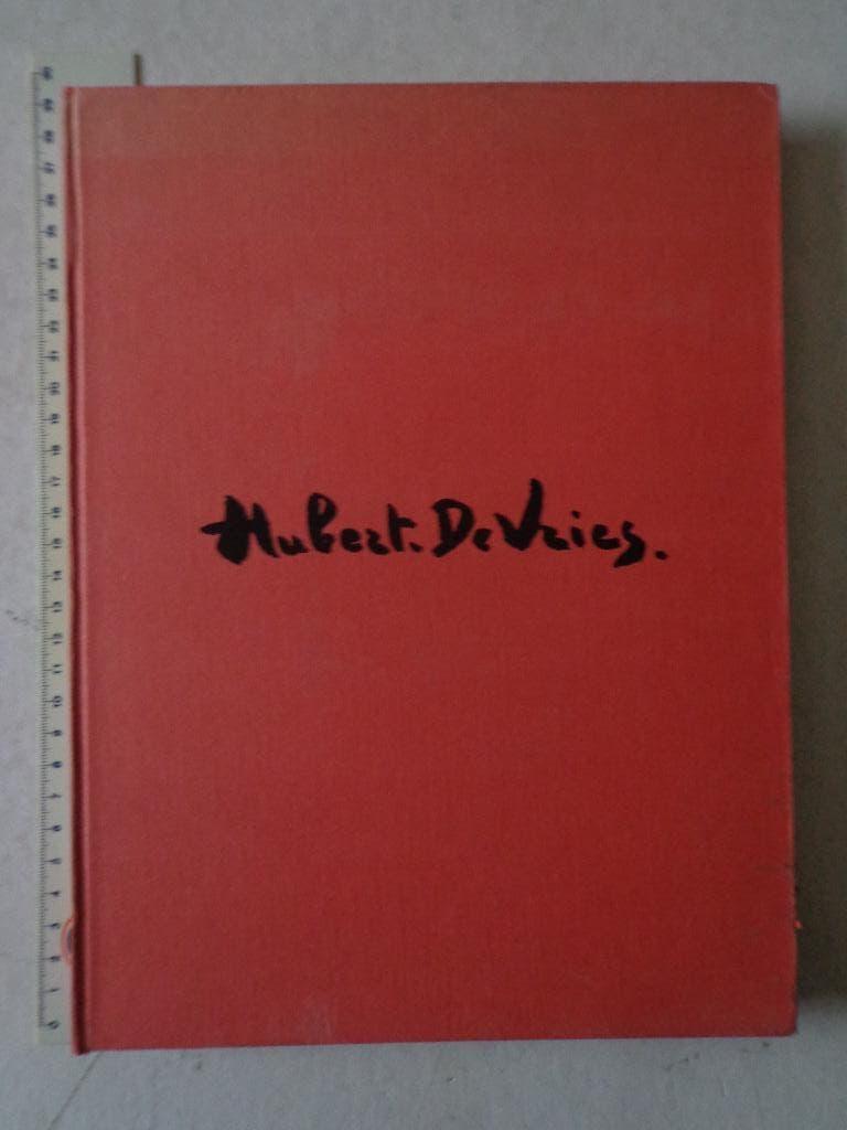 zeldzame monografie Hubert De Vries door Rein Hauben 1970, Gelezen, Rein Hauben, Ophalen of Verzenden, Schilder- en Tekenkunst