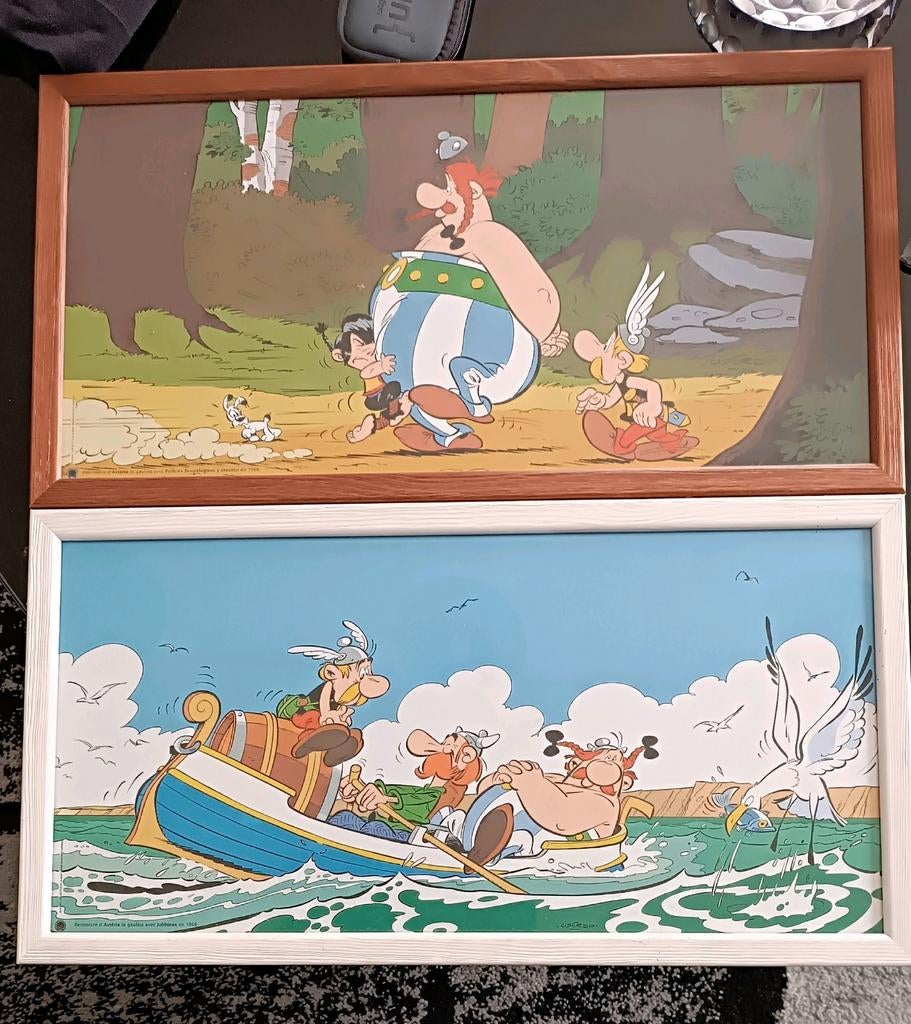 2 cadres Astérix original 2003, Collections, Enlèvement