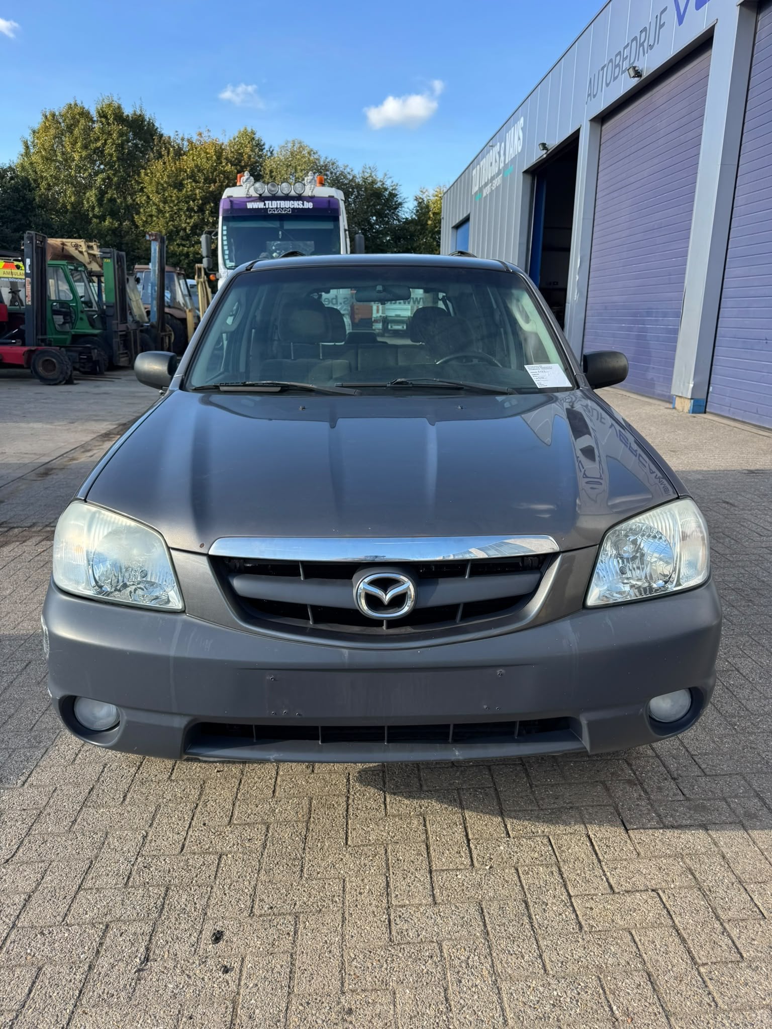 Mazda Tribute *PETROL-AIRCO-4x4* (bj 2003), Auto's, 5 deurs, SUV of Terreinwagen, Zilver of Grijs, Tribute