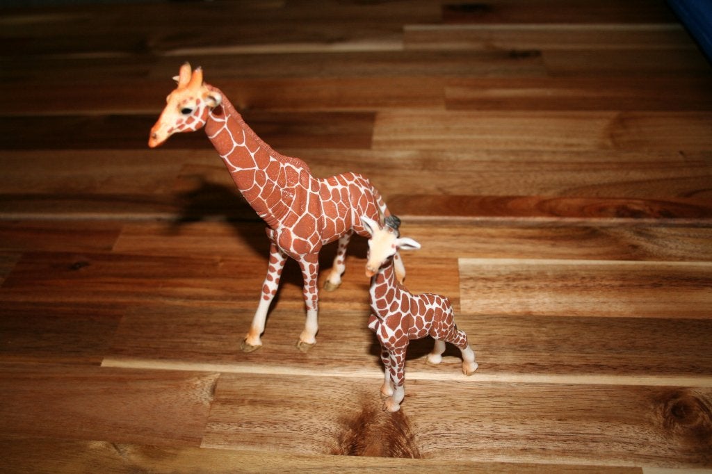 nieuwe schleich giraffen en oryx, Ophalen of Verzenden, Nieuw