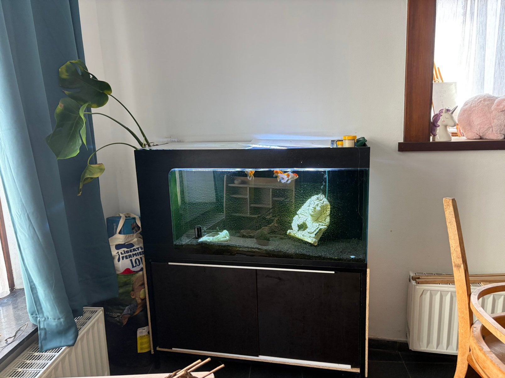 Aquarium 288 litres + meuble, Animaux & Accessoires, Enlèvement, Plantes incluses, Comme neuf