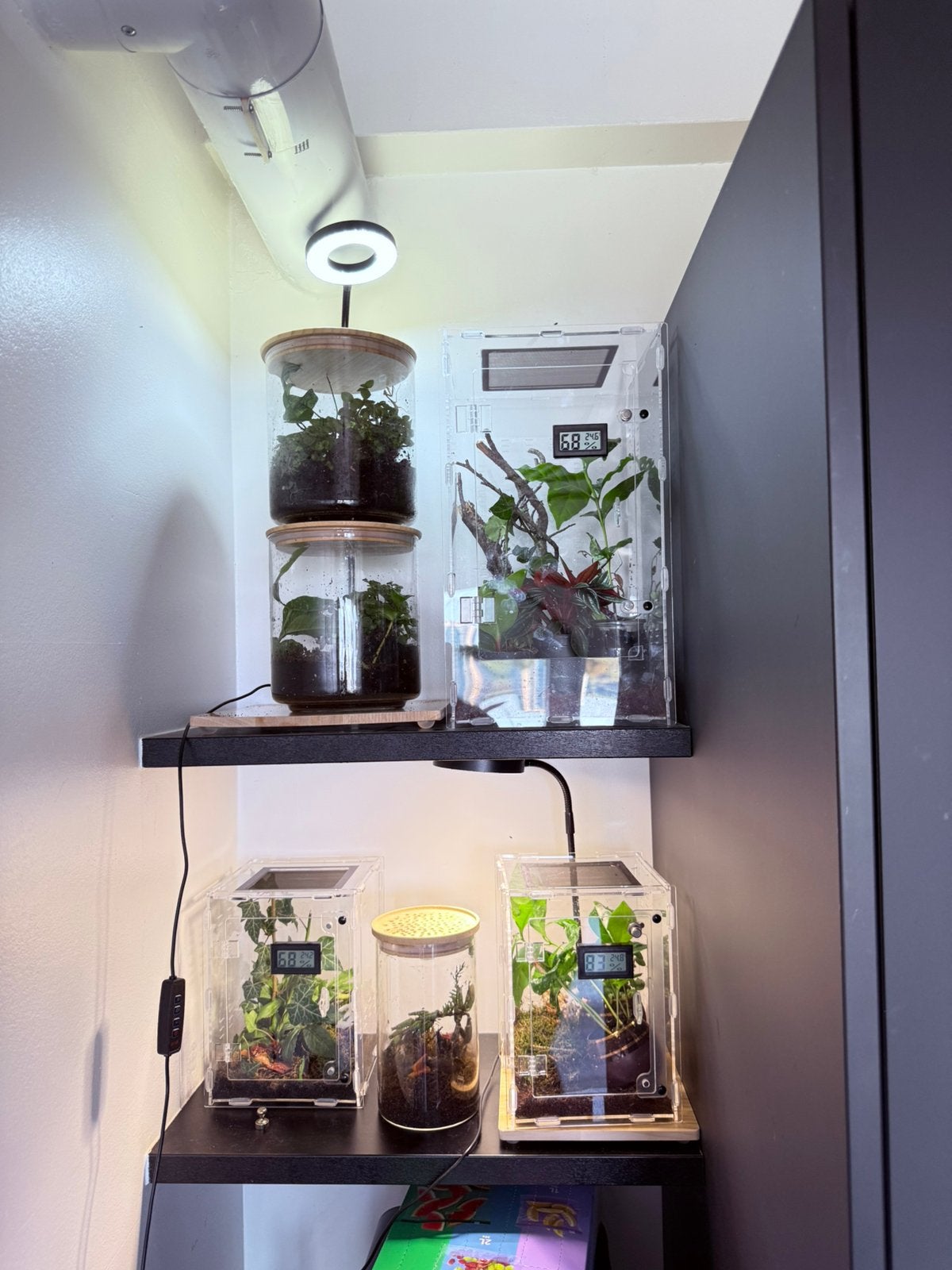 Terrariums – Différentes tailles, Enlèvement, Comme neuf