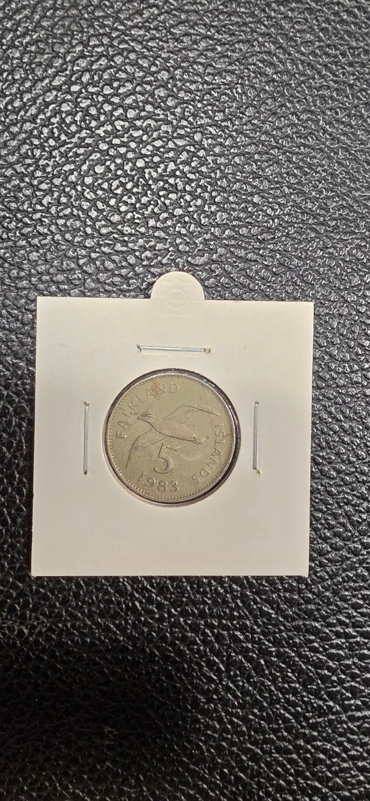 Falklandeilanden 5 pence 1983, Postzegels en Munten, Munten | Oceanië, Ophalen of Verzenden