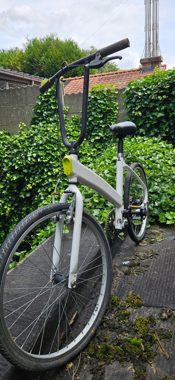 opvallende fiets – rijklaar en uniek!, Fietsen en Brommers, Fietsen | Vouwfietsen, Ophalen