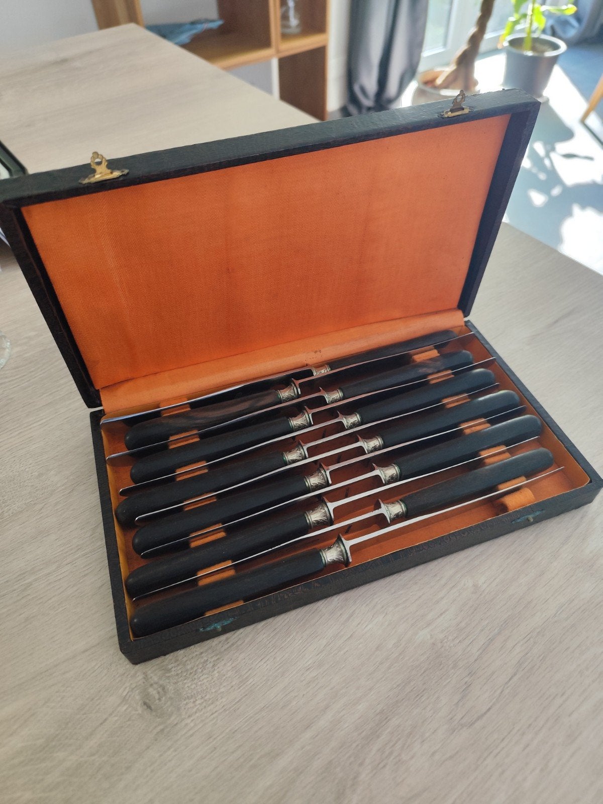 Ménagère ancienne 12 couteaux de table RADIUM avec coffret, Enlèvement ou Envoi, Bois