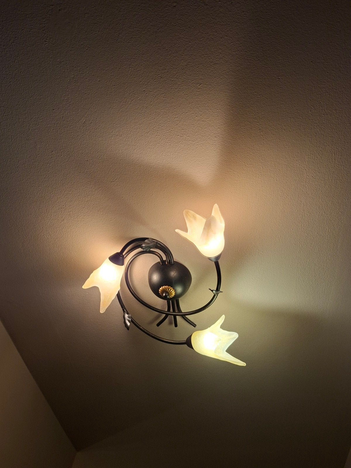 Set van 2 plafond luster  lampen  inbegrepen, Ophalen
