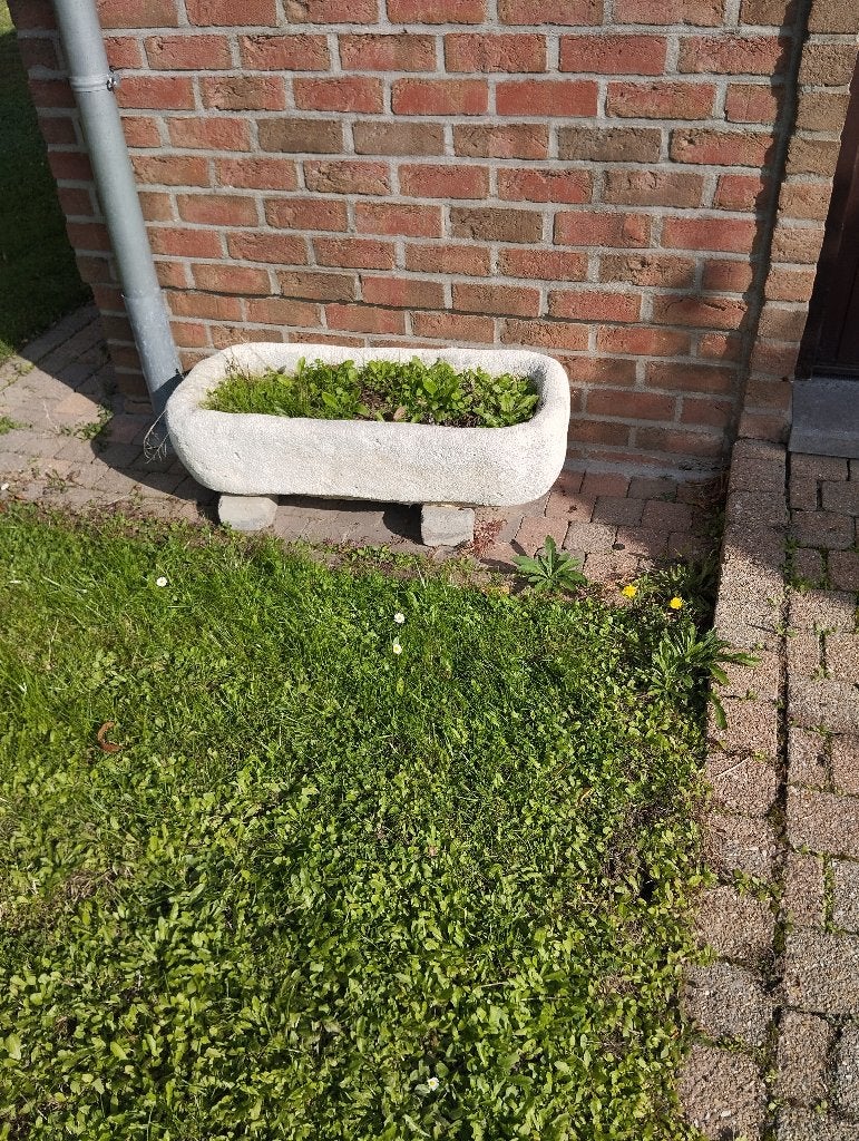 Bac jardinière ancien 82/36, Moins de 30 cm, Enlèvement ou Envoi, Béton, Utilisé