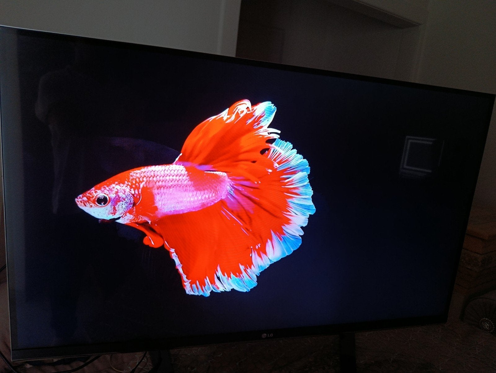 Lg tv smart 49 inch