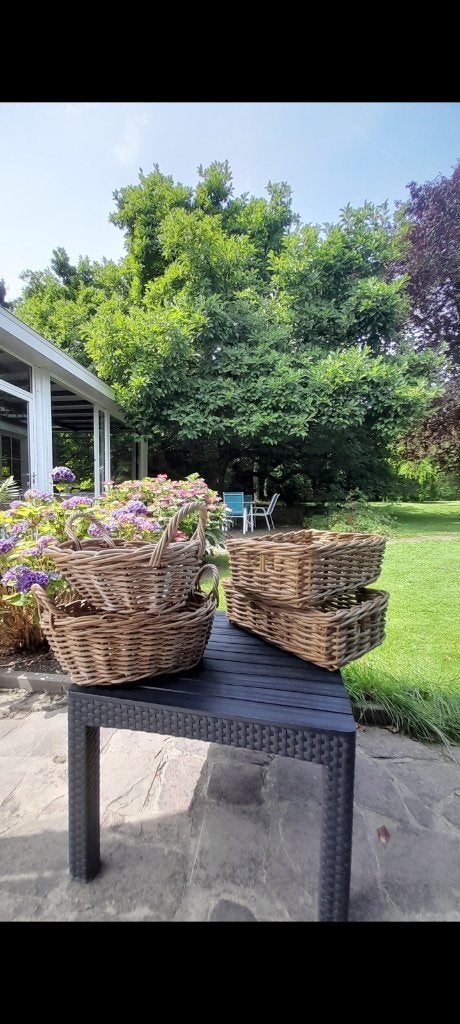 Paniers en rotin (4 disponibles), Enlèvement, Autres formes, Osier, Panier