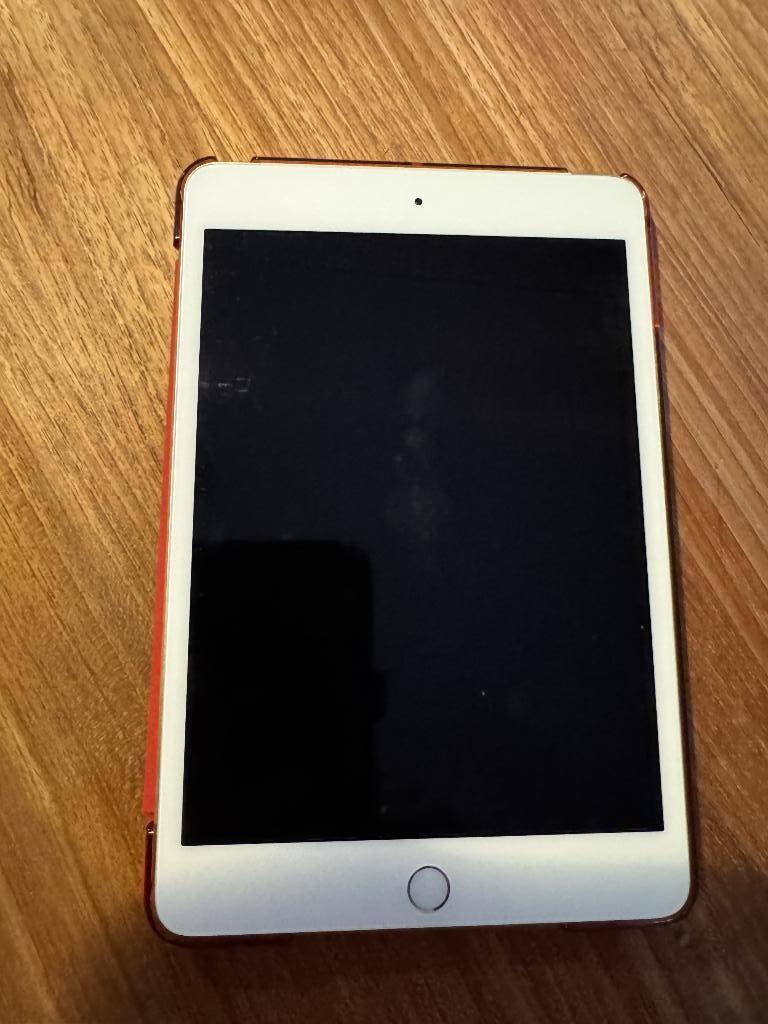iPad mini 128 Go, Informatique & Logiciels, Apple iPad Tablettes, Gris, Enlèvement, Utilisé, 128 GB