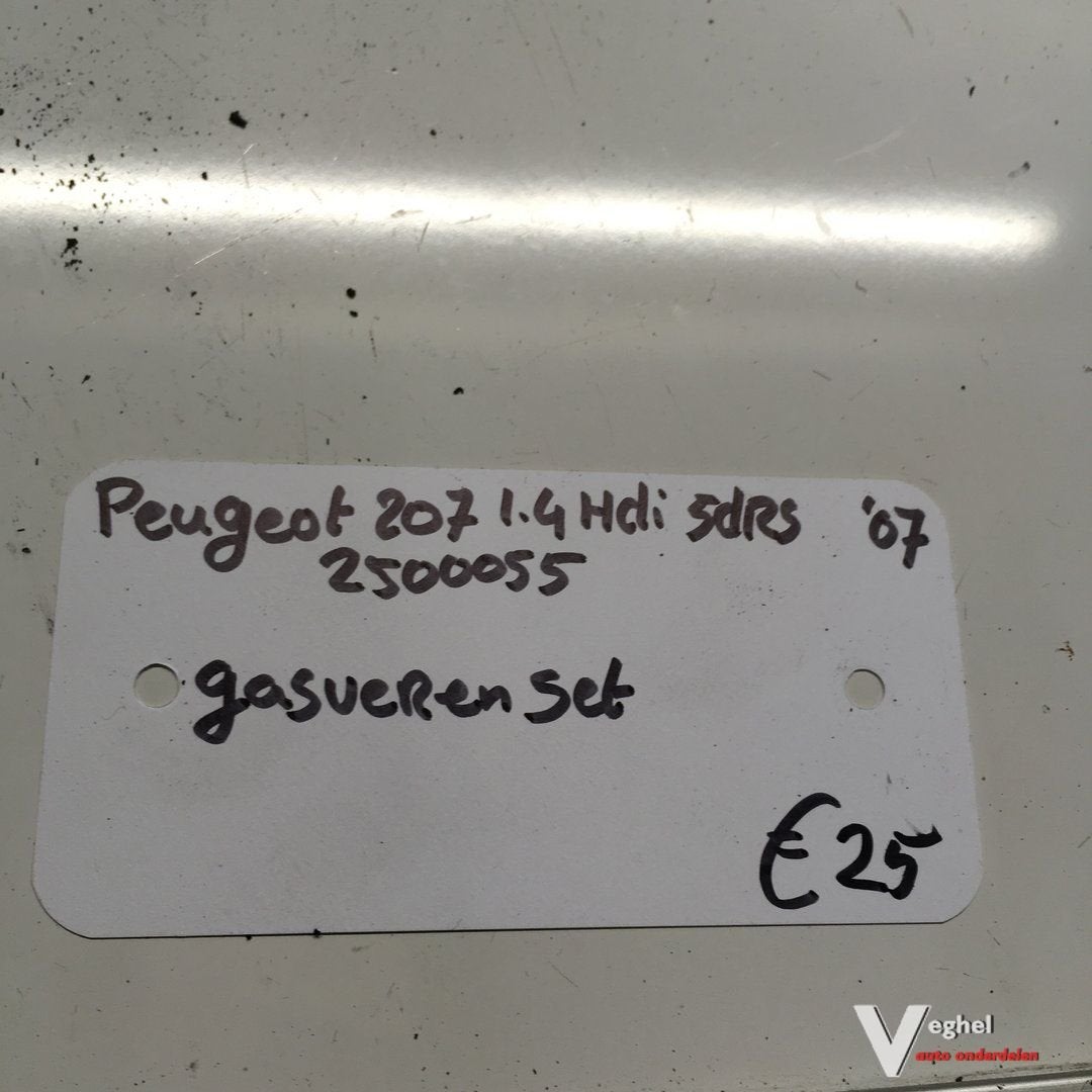 Peugeot 207 1.4 hdi 5drs 2007 2500055  Gasveren set, -, Utilisé, -, -
