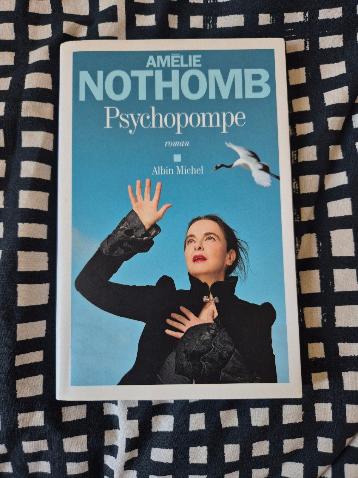 Amélie Nothomb - 9782226485618, Boeken, Humor, Ophalen