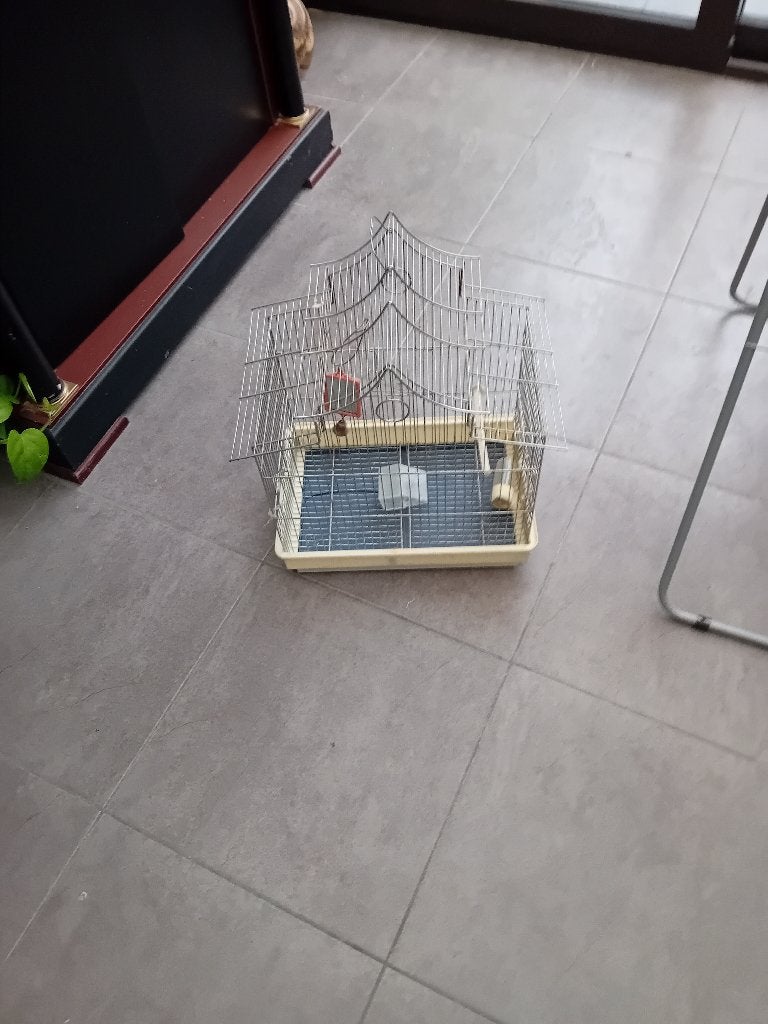 Cage à oiseaux, Enlèvement, Utilisé, Cage à oiseaux