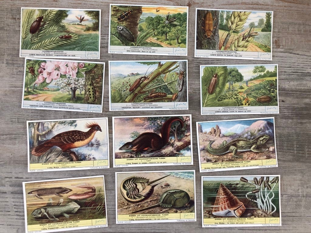 12 chromo Liebig - landbouwparasieten - voorhistorische, Ophalen of Verzenden
