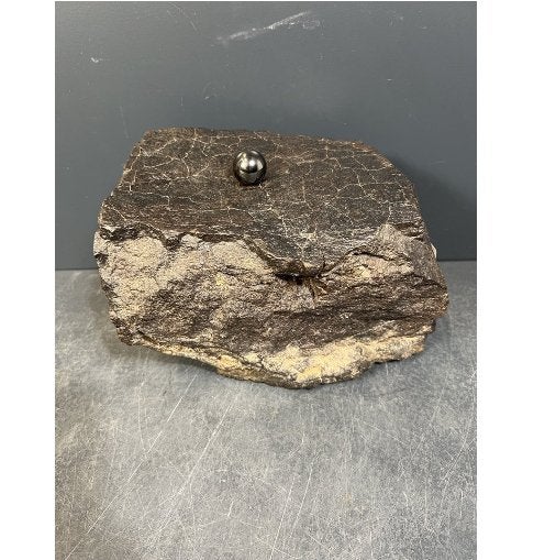 Meteorite Condrite, Enlèvement