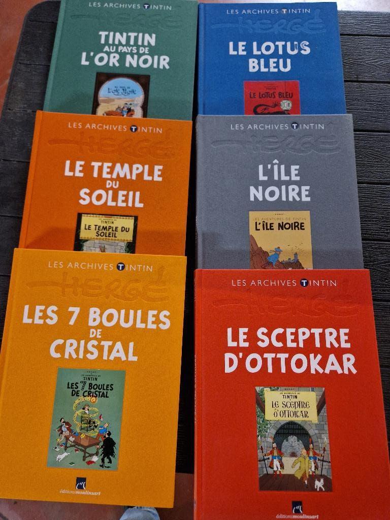 LES ARCHIVES TINTIN, Verzamelen, Stripfiguren, Ophalen of Verzenden, Kuifje, Nieuw, Overige typen