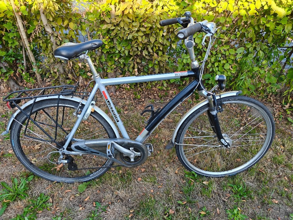 Gazelle Bahia, Ophalen, Gebruikt, Velgrem, Versnellingen